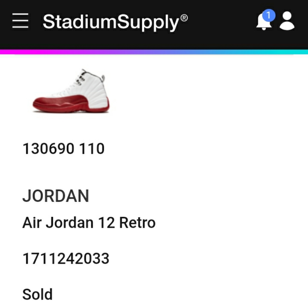 AIR JORDAN RETRO 12 2009